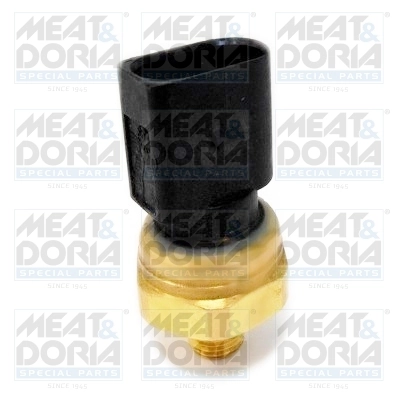 Sensor, fuel pressure